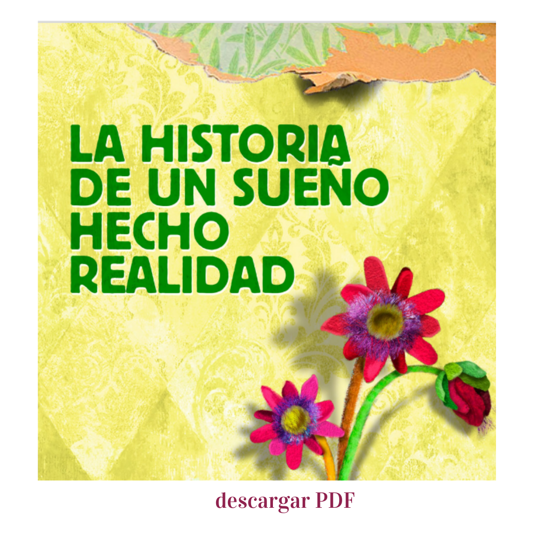 actoras-de-cambio-la-historia-de-un-sueño-hecho-realidad-pdf